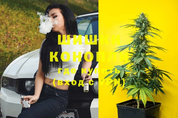 молекула духа Бугульма