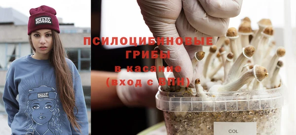 молекула духа Бугульма