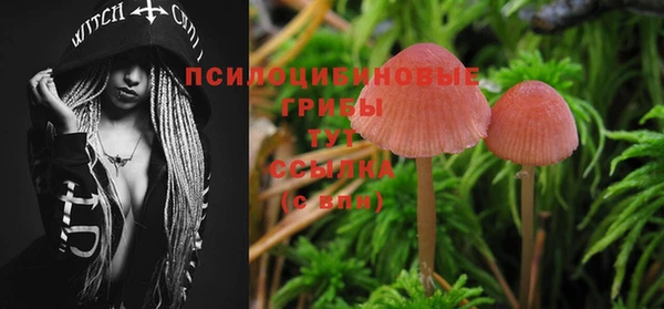 героин Бородино