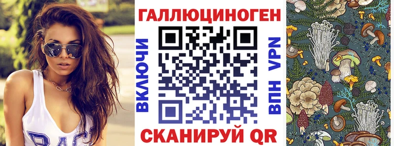 Галлюциногенные грибы GOLDEN TEACHER  купить  сайты  Липецк 